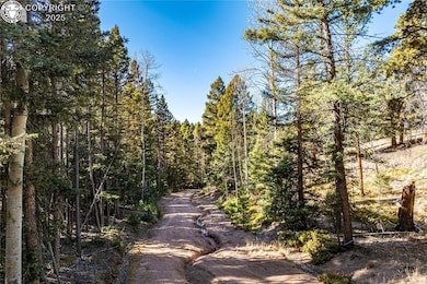 TBD Arrowhead Rd, Florissant, CO 80816 - photo 2
