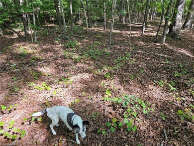 Shadow checks out soils
