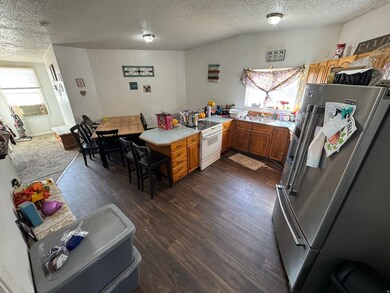 860 N 200 E, Nephi, UT 84648 - photo 4
