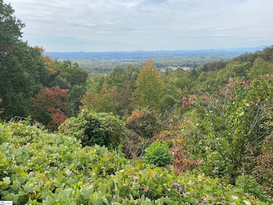 0 Laurel Ridge Rd unit 1536082, Greenville, SC 29609 - photo 4