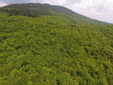 0 Bennett Rd, Kirby, VT 05832 - photo 7