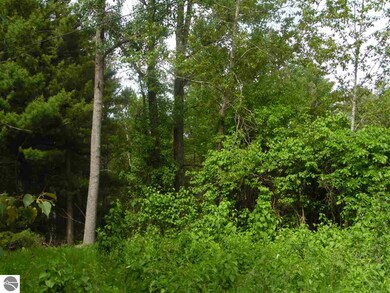 0 S M-65 unit 1818288, Turner, MI 48765 - photo 3