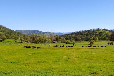 0 Sage Ln, Squaw Valley, CA 93675 - photo 5