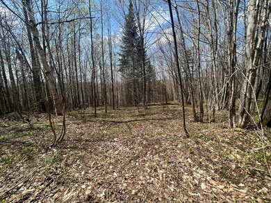 - Back Farm Rd, Clarksville, NH 03592 - photo 3