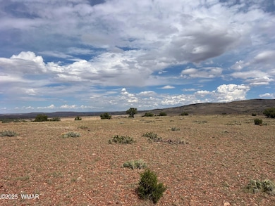 000 N5158, Concho, AZ 85924 - photo 2