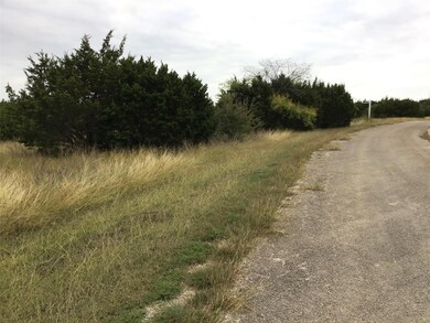 39359 High Point Dr, Whitney, TX 76692 - photo 4