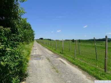 174 Dales Bridge Rd, Germantown, NY 12526 - photo 7