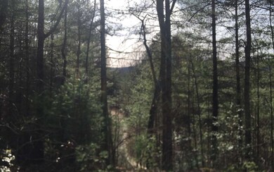 Additional View