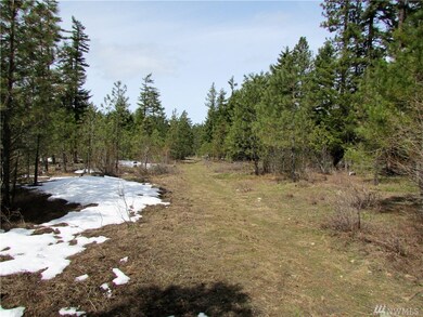 10370 Washington 903, Ronald, WA 98940 - photo 3