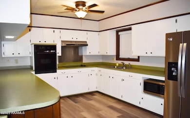 184 Grey Eagle Rd, Jeanerette, LA 70544 - photo 3