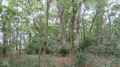 unlisted-address, Darlington, IN 47940 - photo 4