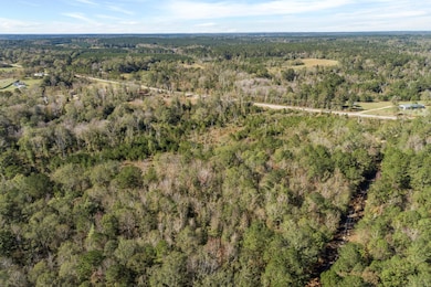 111 Ms-44, Sumrall, MS 39482 - photo 7