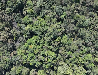 0 Stump Ridge Rd, Viroqua, WI 54665 - photo 7