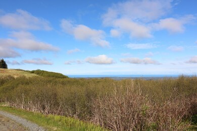 34371 Bluegrass St, Anchor Point, AK 99556 - photo 2