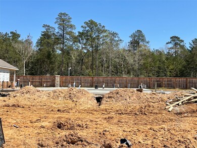 14139 Lake Lodge Dr, Conroe, TX 77384 - photo 4