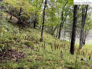 1 Old Boyer Ferry Rd, Galax, VA 24333 - photo 3