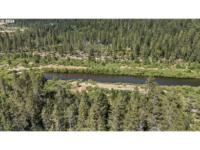 168 Krauss Ln, Cave Junction, OR 97523 - photo 4