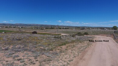 25050 N Big Springs Ranch Rd, Paulden, AZ 86334 - photo 5