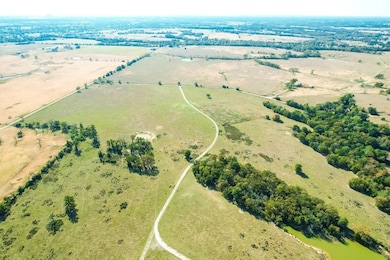 County Road 781, Donie, TX 75838 - photo 4