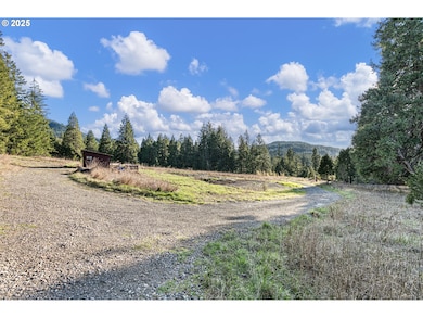 0 Jasper Lowell Rd, Lowell, OR 97452 - photo 2