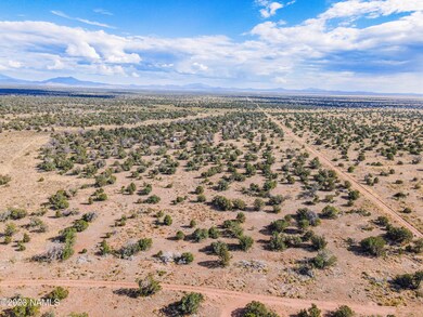 DJI_0368