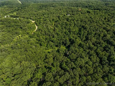 TBD Ogden Ave, Camdenton, MO 65020 - photo 6