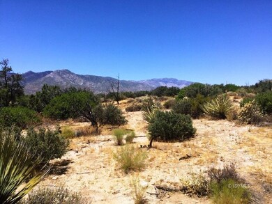 PINYON PINES