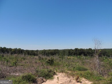 57+/- AC Victory Rd, Franklin, GA 30217 - photo 4