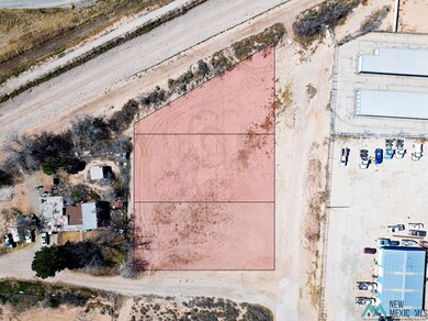 1501 W Luckey St, Carlsbad, NM 88220 - photo 6