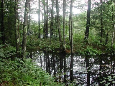 Waterfront/Dock/Pier. Ossipee River...