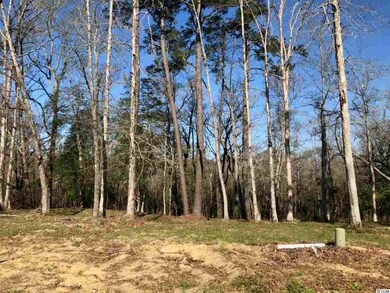 26 Rivers Edge Dr, Conway, SC 29526 - photo 5