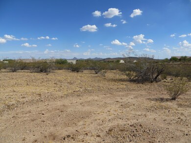 21320 W Vista Royale Dr unit 3, Wickenburg, AZ 85390 - photo 6