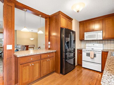 9791 Ilex St NW, Coon Rapids, MN 55433 - photo 3