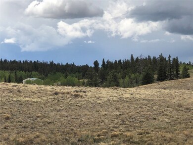 1332 Frees Loop, Hartsel, CO 80449 - photo 5
