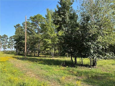 000 Rattlesnake Ln, Pottsville, AR 72858 - photo 7