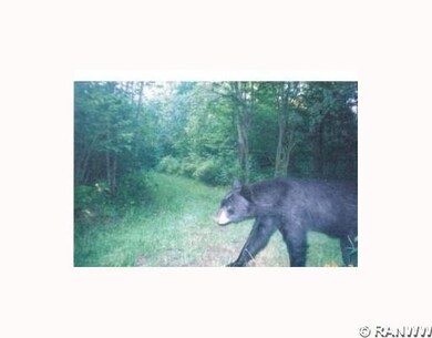 2151 Timberland Trail, Ingram, WI 54526 - photo 4