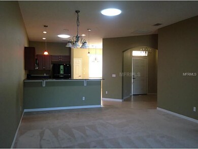 30636 Lipizzan Terrace, Mount Dora, FL 32757 - photo 4