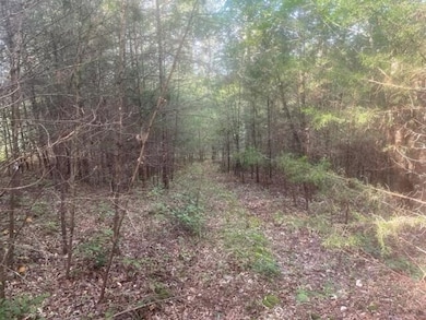 3 Countryside Dr, Dunlap, TN 37327 - photo 7