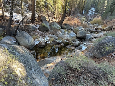 550 Cabbage Patch Log Rd, Tamarack, CA 95223 - photo 2