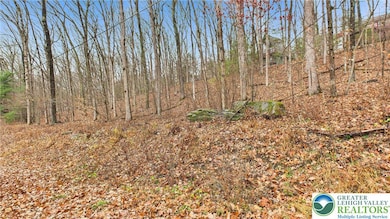 221 Brookdale Rd, Bartonsville, PA 18321 - photo 3