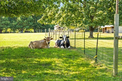 537 Arneytown-Chesterfield Rd, Chesterfield, NJ 08515 - photo 4