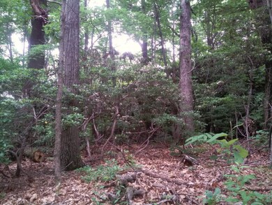 TBD Hughes Shelter Rd, Meadows of Dan, VA 24120 - photo 2