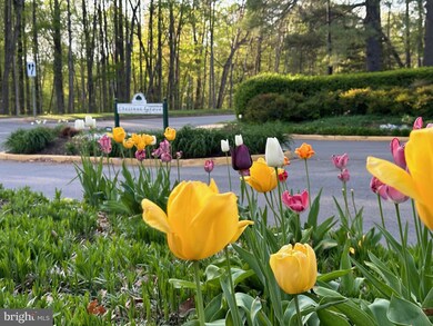 11208 Chestnut Grove Square unit 11208-111, Reston, VA 20190 - photo 3