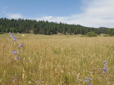 0 E Meadow Ln unit 100432, Duck Creek, UT 84762 - photo 6