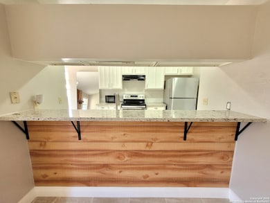 11419 Blue Mesa Dr, San Antonio, TX 78245 - photo 6