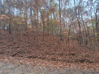 LT2909 Newton Ln, Ellijay, GA 30540 - photo 2