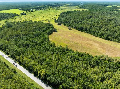 0 Deen Still Rd unit MFRO6337157, Polk City, FL 33868 - photo 4