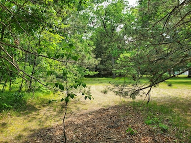 998 E Monroe St, White Cloud, MI 49349 - photo 2