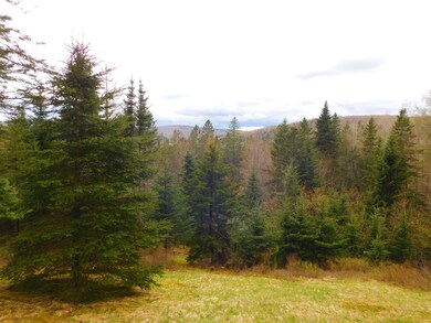 17 Hoyt Run, Stewartstown, NH 03576 - photo 2