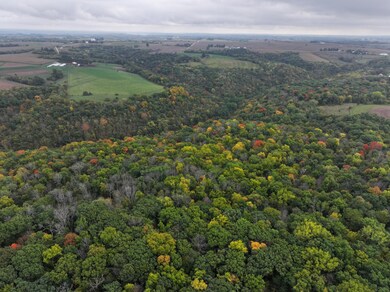 xxx 270th St, Norway Township, MN 55971 - photo 3